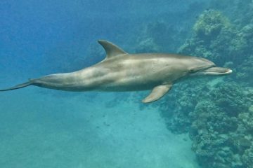 312724630_579348060862091_814493541348946754_n