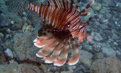 462931161_8859739540705788_7770543124807465875_n