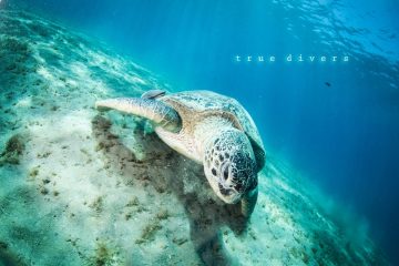 465905555_9015065285173212_1944292621451154646_n