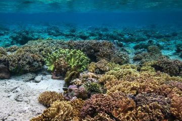 Photo by Ricky Beron on Unsplash